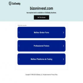 Скриншот главной страницы сайта bizoninvest.com